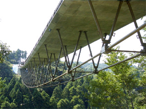 外ケーブル併用吊床版橋